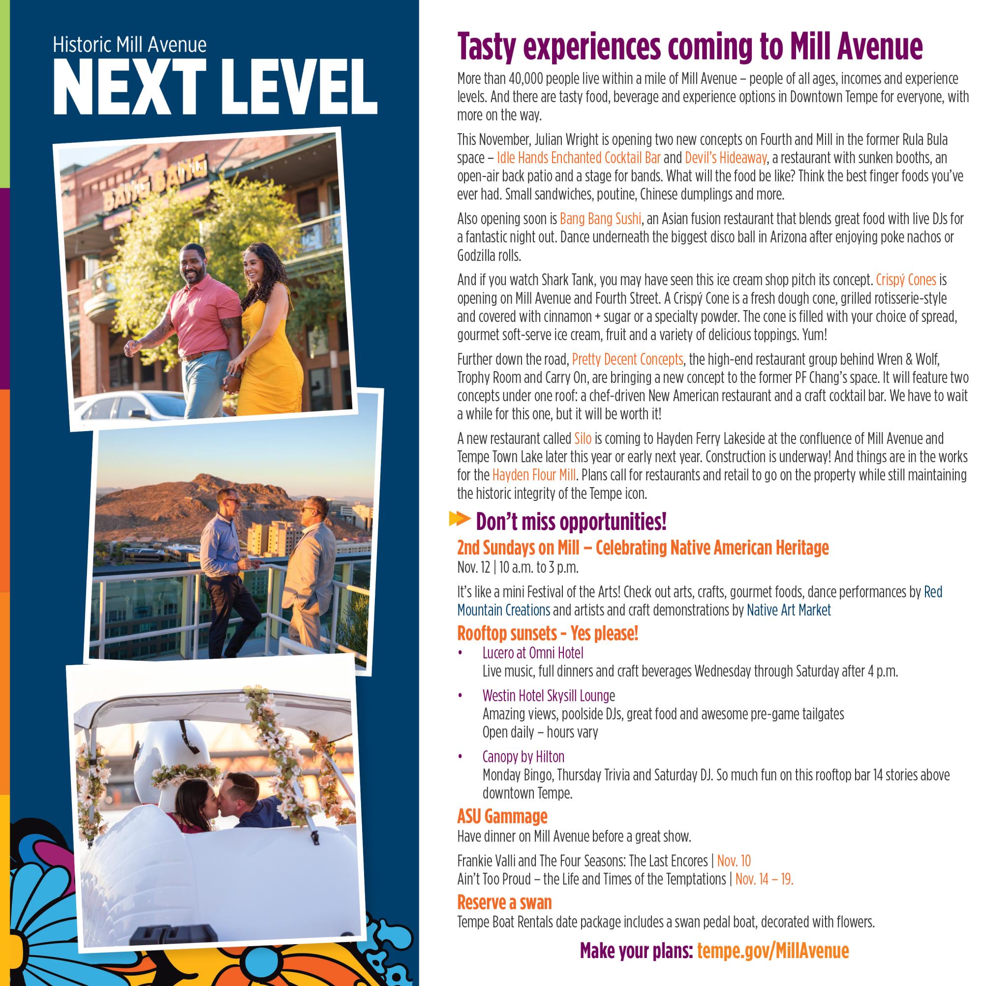 Historic Mill Ave Brochure