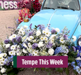 TTW Website News Thumbnail - Jan 26 2026