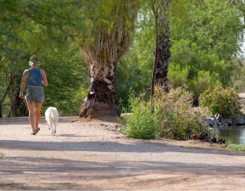 Spotlight Headline With a Longer Line 2